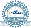 WSI eFusion - certified developer logo